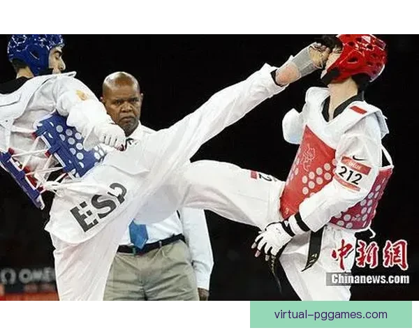 全球击剑史上最令人惊叹的世界纪录盘点