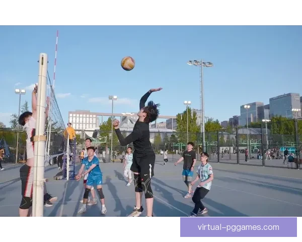 瞄准冠军之路：挑战重重的排球赛场